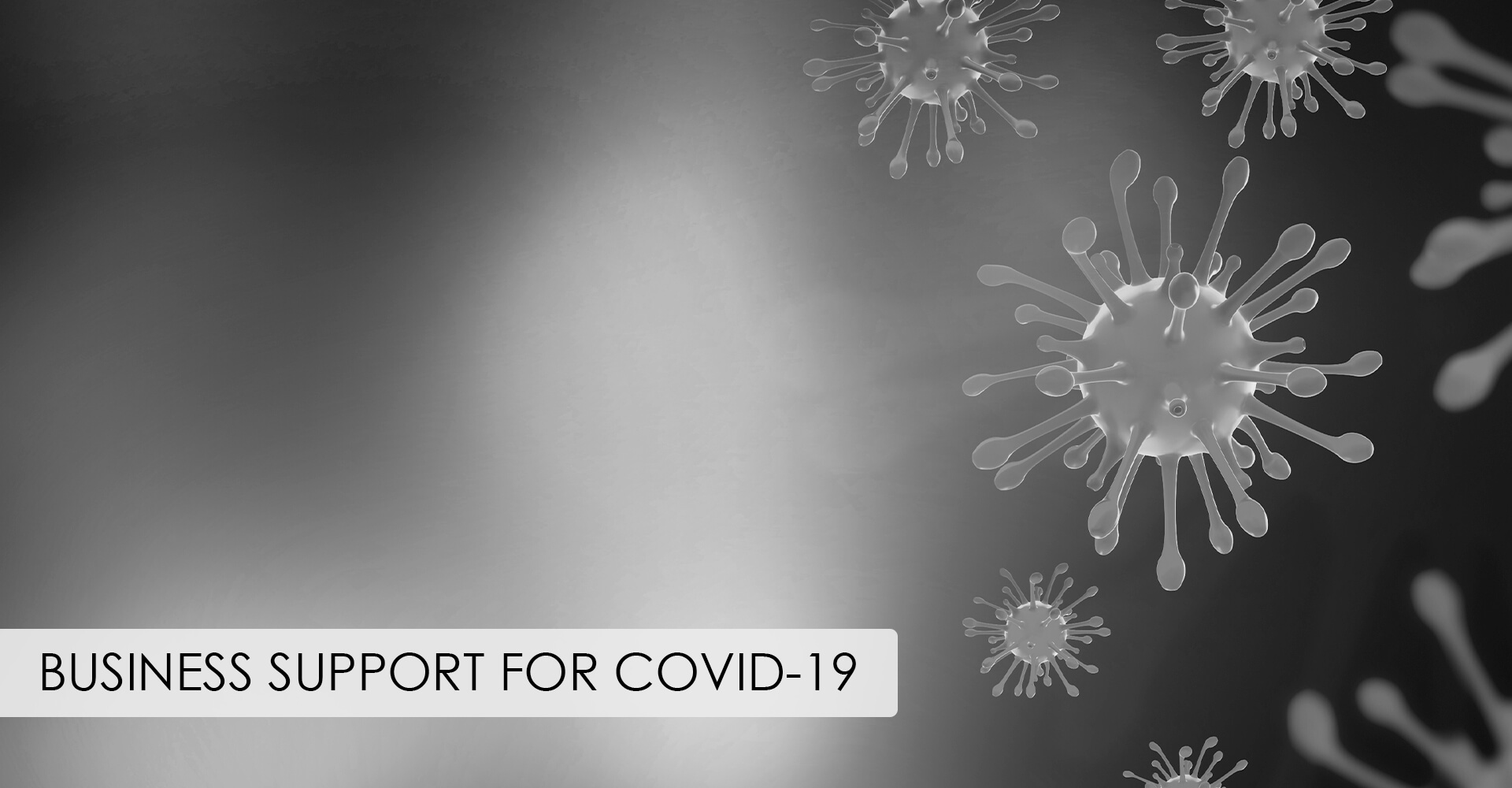 Read more about the article New Online Hub for COVID-19 Information