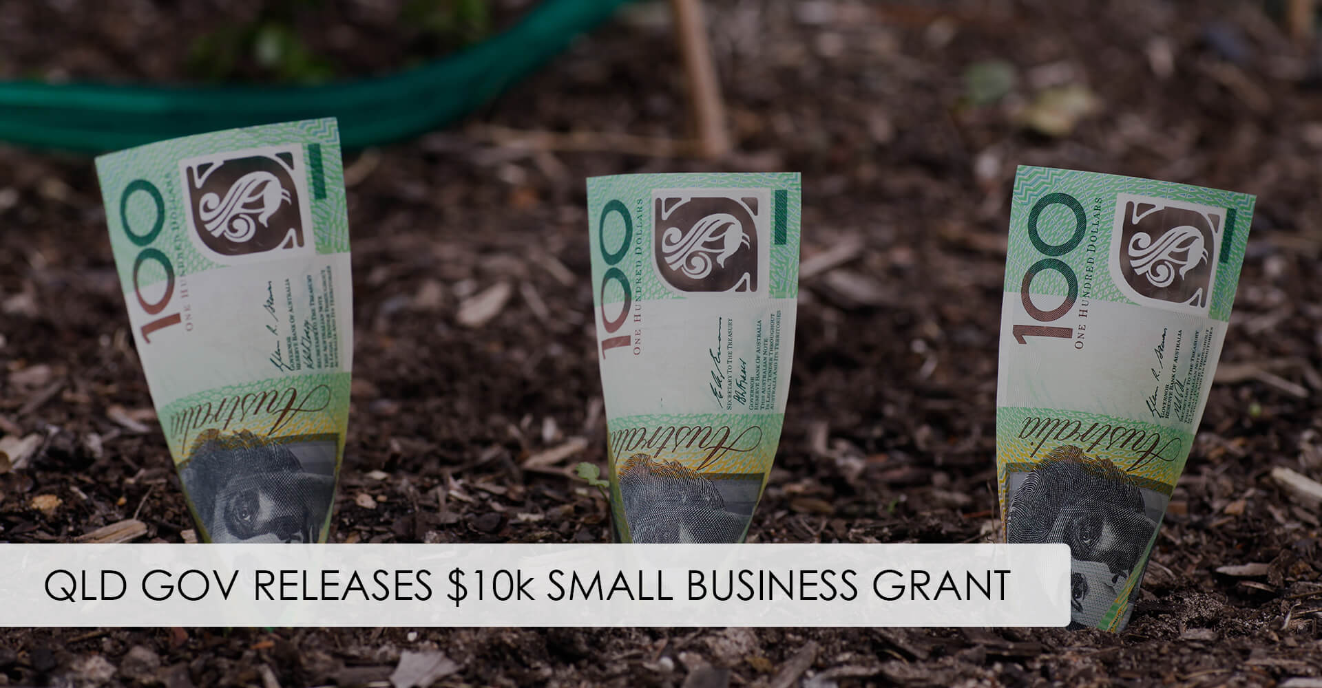 Read more about the article QLD Gov Releases $10k Small Business Grants